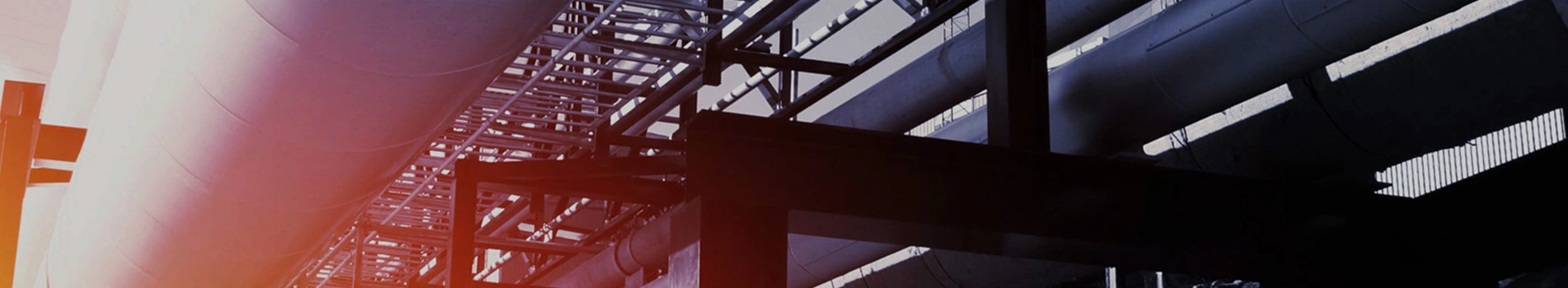 उत्पादों