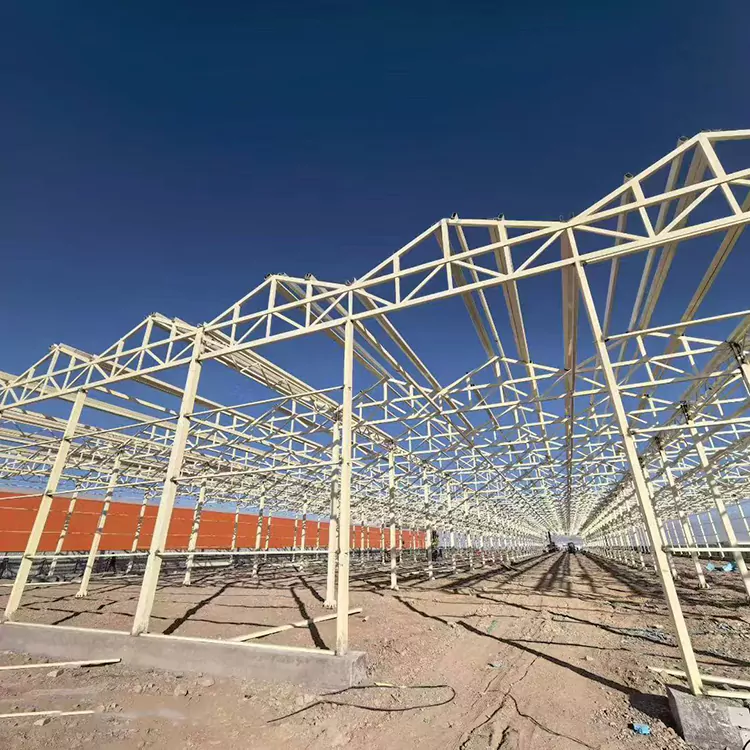 गैल्वनाइज्ड स्टील ग्रीनहाउस फ़्रेम आधुनिक कृषि के लिए सर्वोत्तम विकल्प क्यों है?